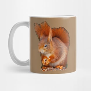 Red Squirrel Mug